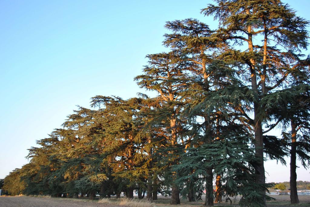 Logis Hotels - Chateau Saint Marcel Boe ภายนอก รูปภาพ